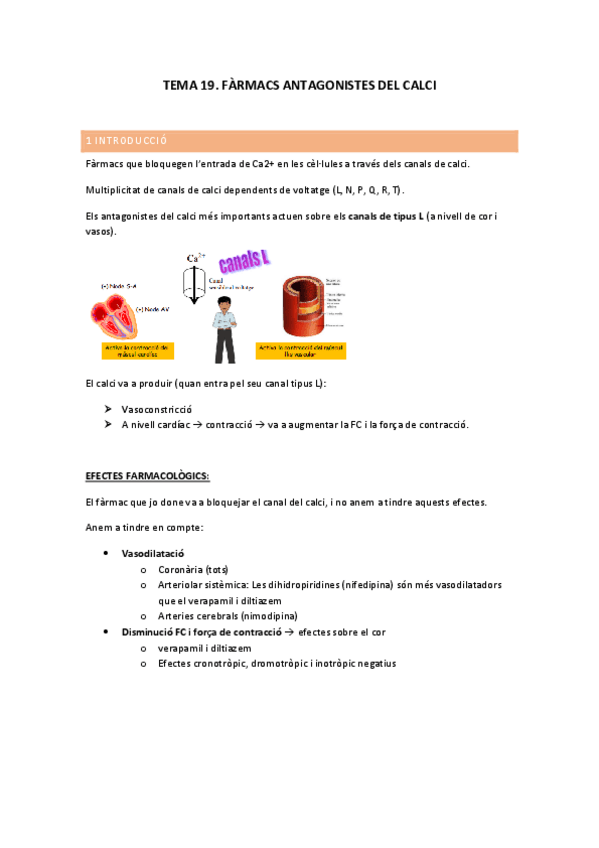 Miniatura del documento TEMA-19.-APUNTS.pdf