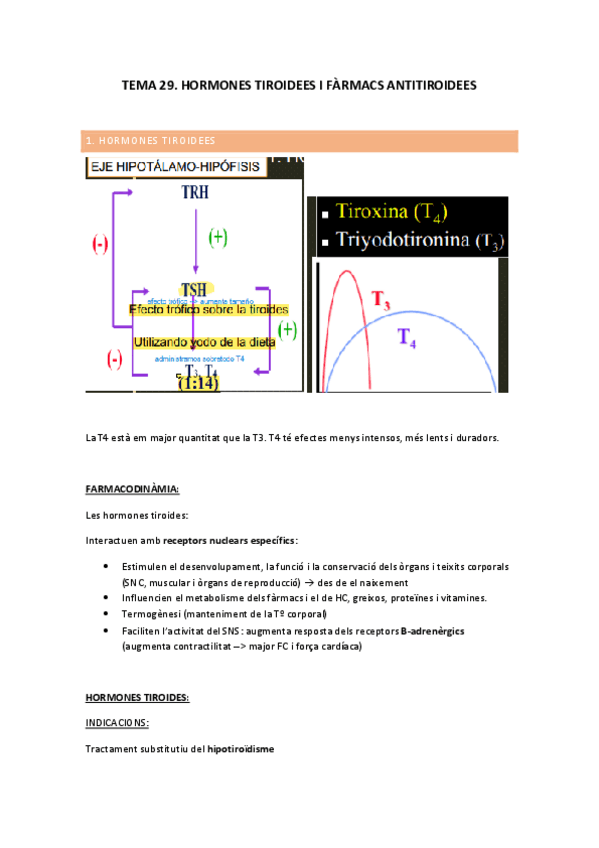 Miniatura del documento TEMA-29.-APUNTS.pdf