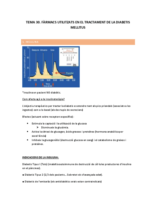 Miniatura del documento TEMA-30.-APUNTS.pdf