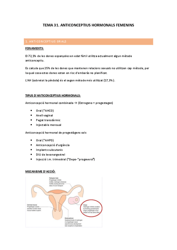 Miniatura del documento TEMA-31.-APUNTS.pdf