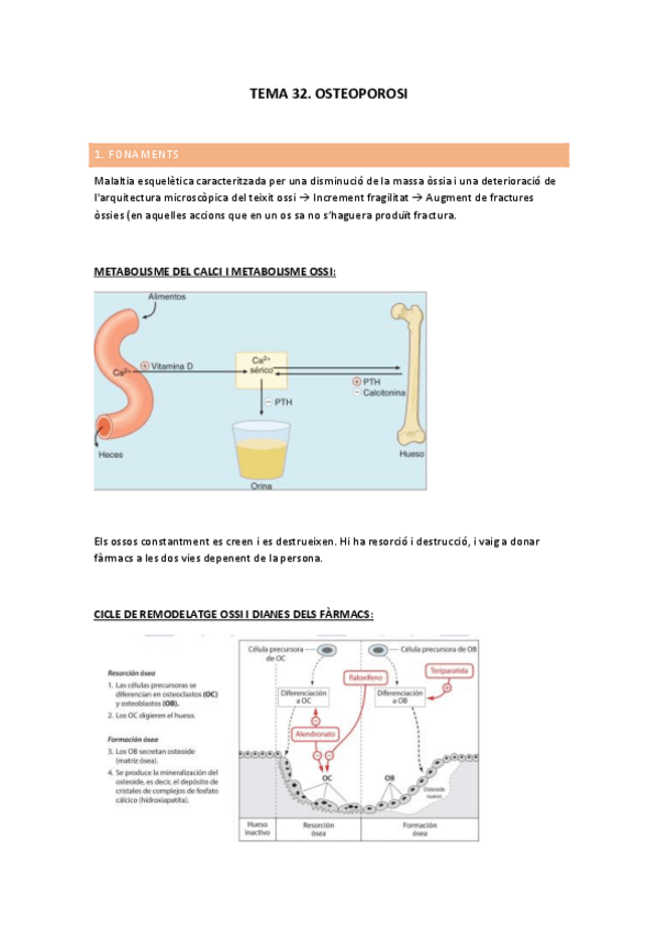 Miniatura del documento TEMA-32.-APUNTS.pdf