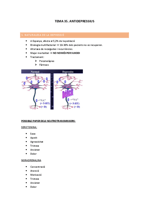 Miniatura del documento TEMA-35.-APUNTS.pdf