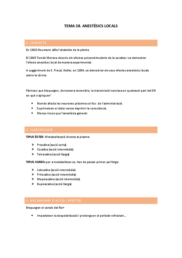 Miniatura del documento TEMA-38.-APUNTS.pdf