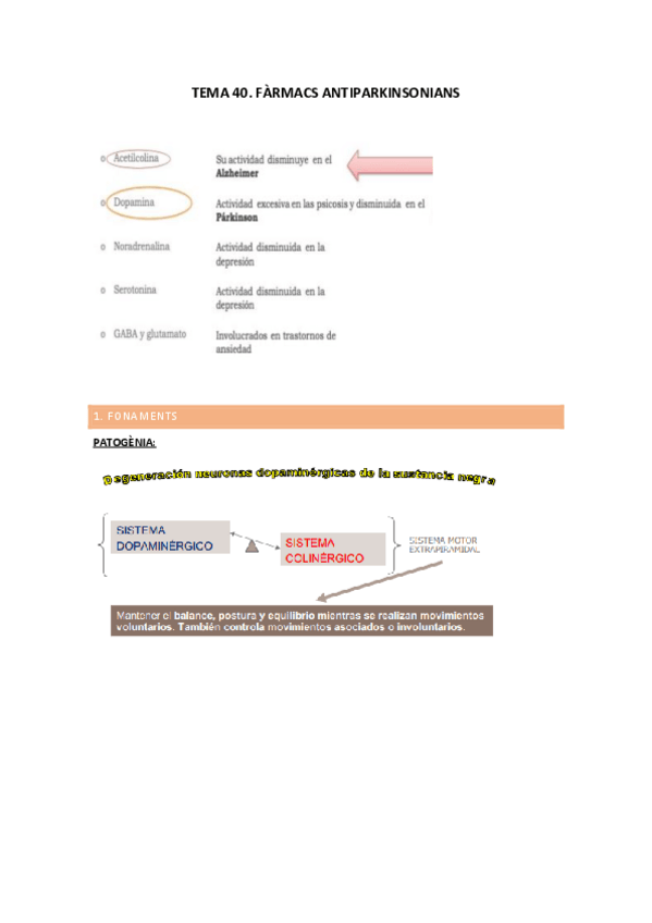 Miniatura del documento TEMA-40.-APUNTS.pdf