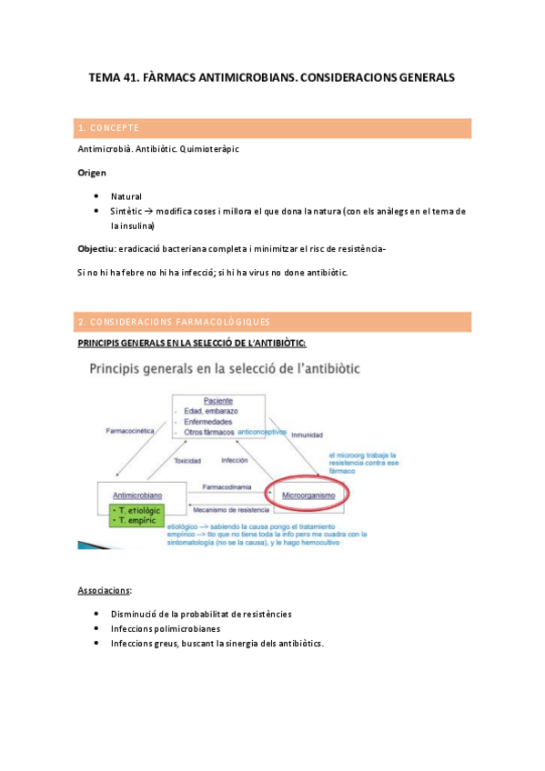 Miniatura del documento TEMA-41.-APUNTS.pdf