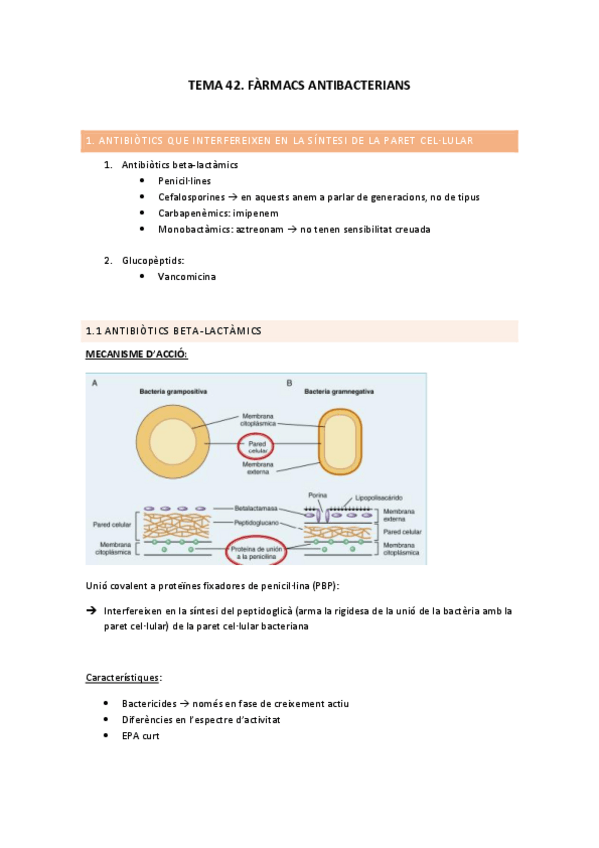 Miniatura del documento TEMA-42.-APUNTS.pdf
