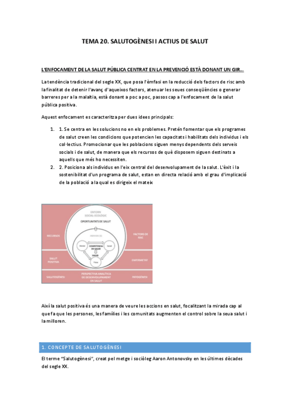 Miniatura del documento TEMA-20.-APUNTS.pdf
