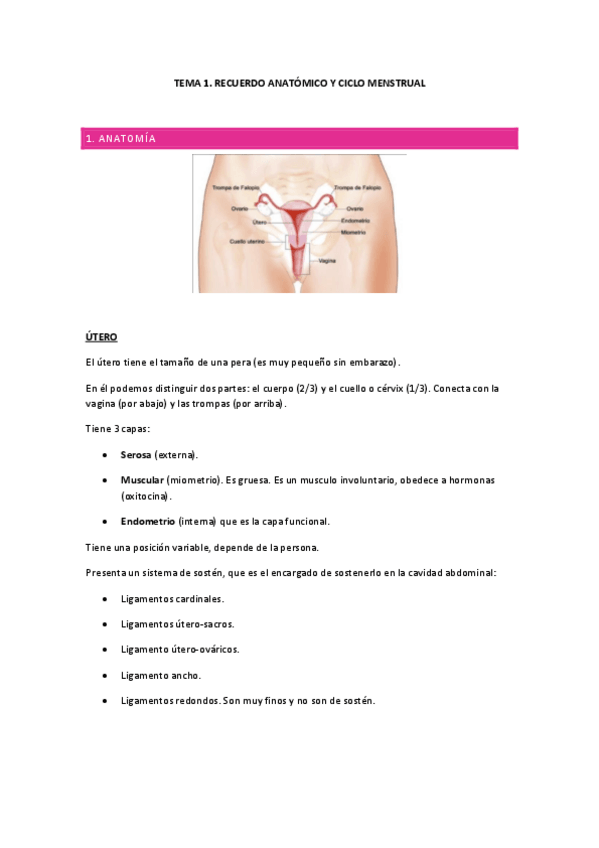 Miniatura del documento TEMA-1.-APUNTS.pdf