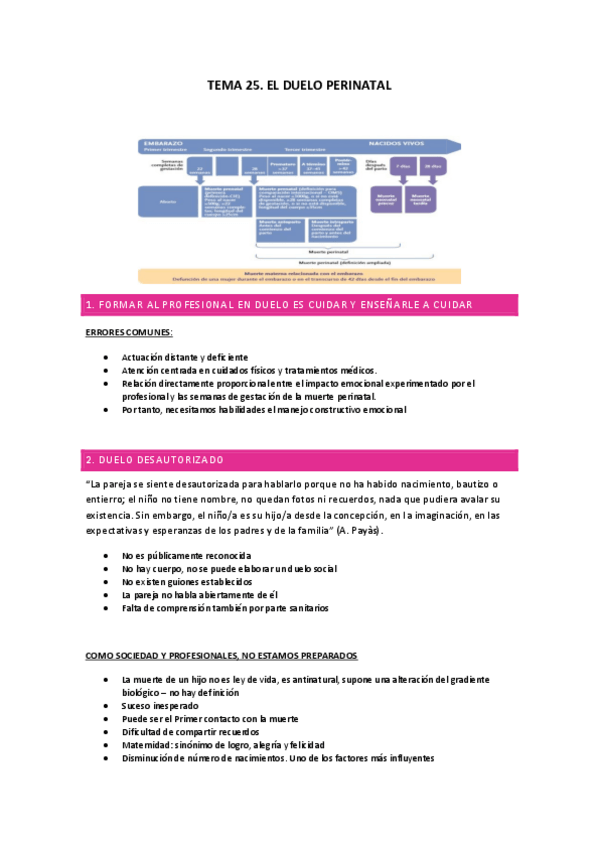 Miniatura del documento TEMA-25.-APUNTS.pdf