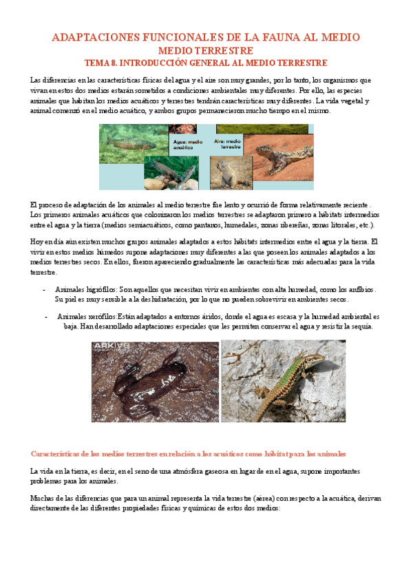 Miniatura del documento MEDIO-TERRESTRE.pdf