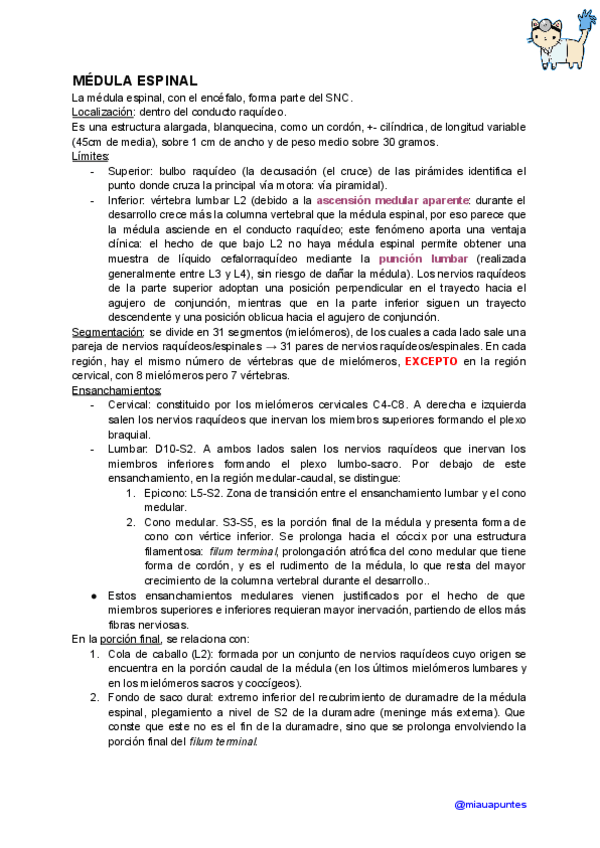 Miniatura del documento videos-practicas-neuro.pdf