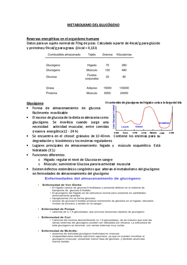 Miniatura del documento 6.METABOLISMO DEL GLUCÓGENO.pdf