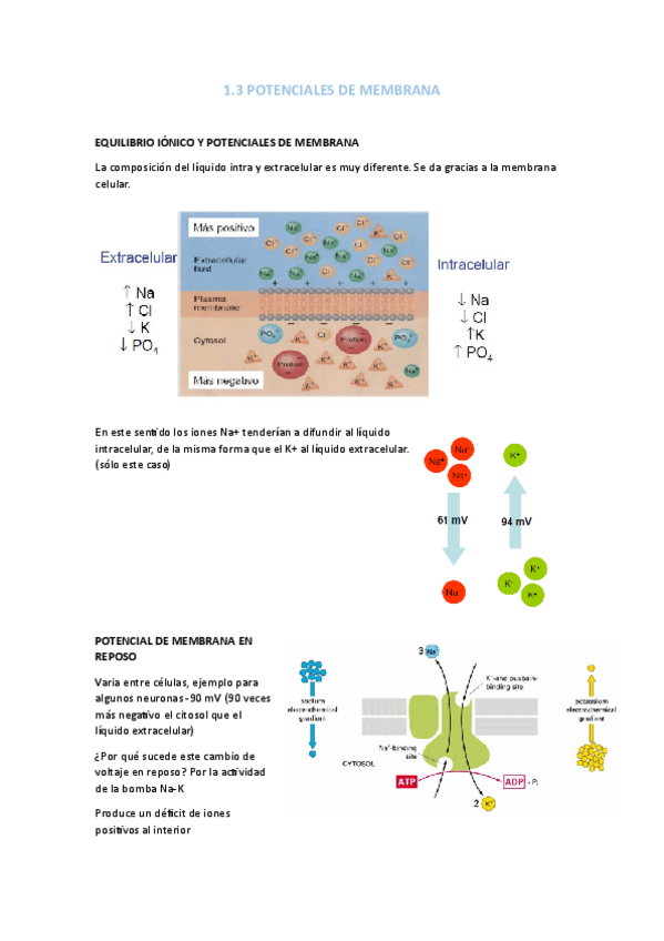 Miniatura del documento 1.3.pdf