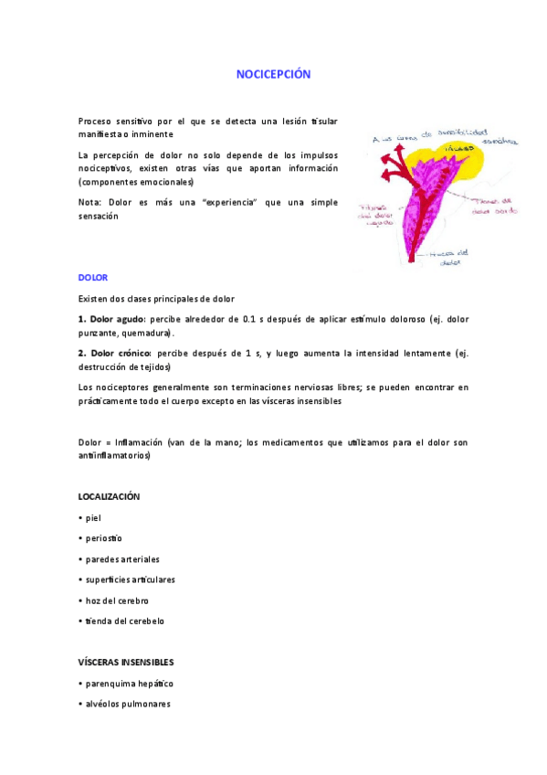 Miniatura del documento 2.3-nocicepcion.pdf