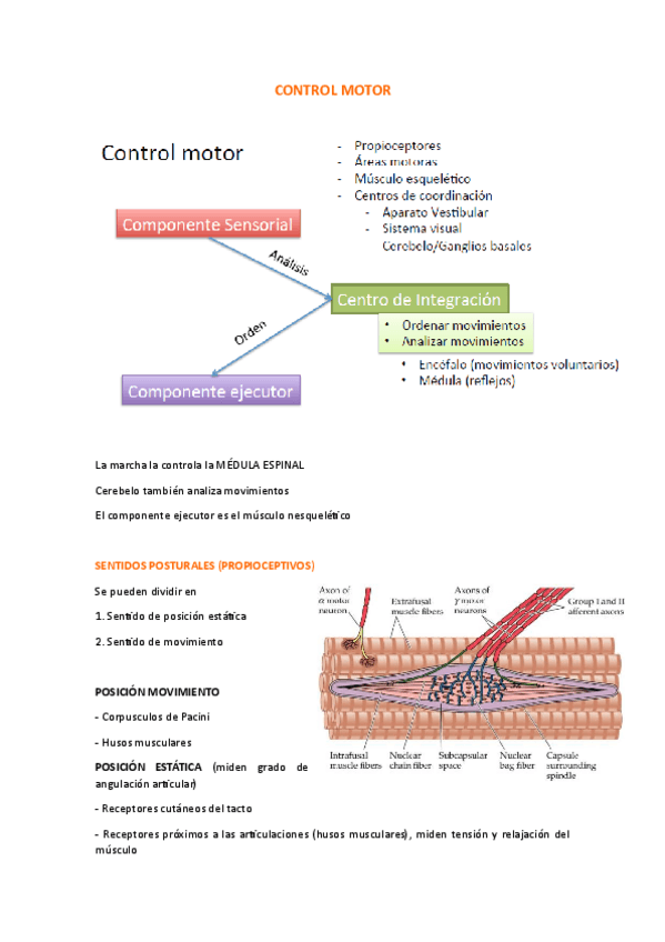 Miniatura del documento control-motor.pdf
