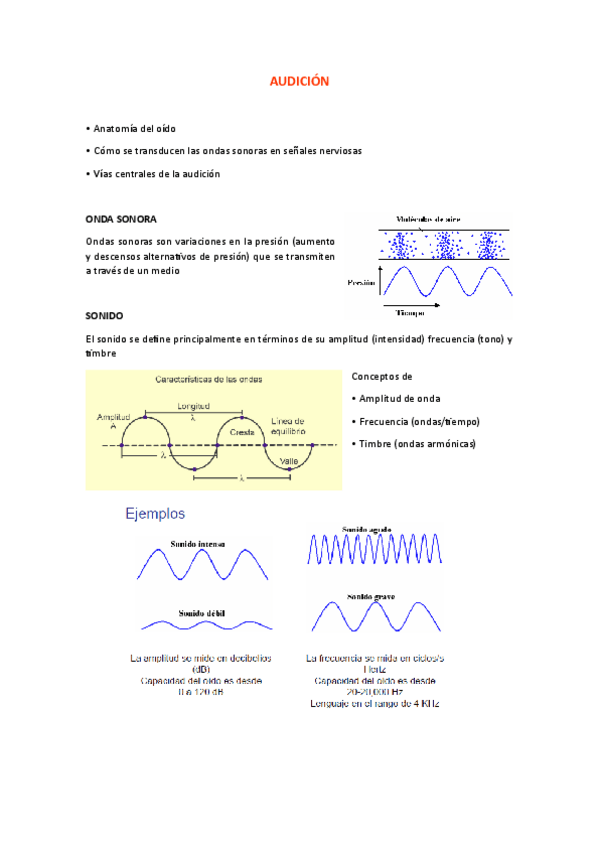 Miniatura del documento La-audicion.pdf