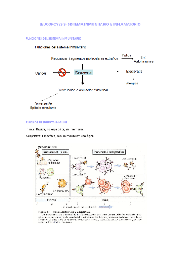 Miniatura del documento leucopoyesis-e-inmunidad.pdf
