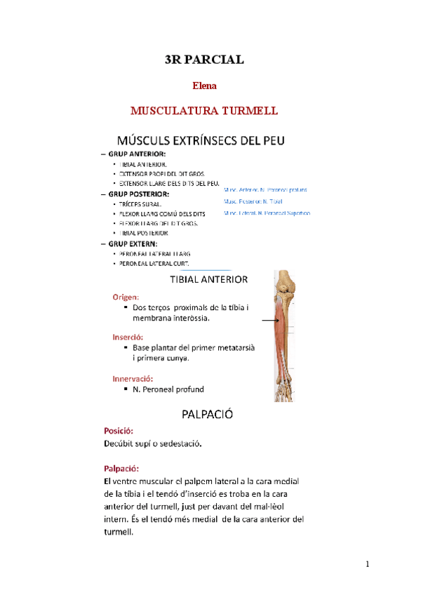 Miniatura del documento 3R-PARCIAL-CINE.pdf
