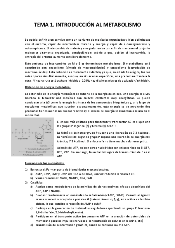 Miniatura del documento Tema 1. Introducción al Metabolismo.pdf