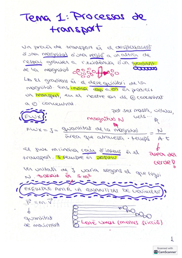 Miniatura del documento APUNTS BLOC 1 MOLT COMPLETS.pdf