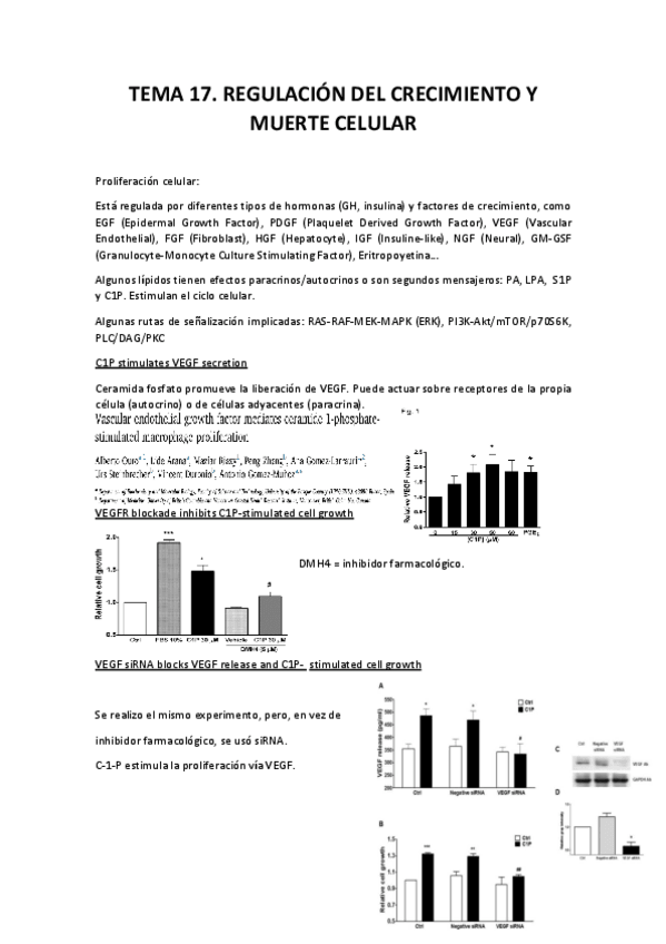 Miniatura del documento Tema 17. Regulación del Crecimiento y Muerte Celular.pdf