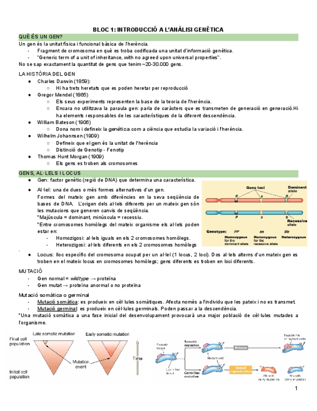 Miniatura del documento analisi-genetica-apunts-tot.pdf