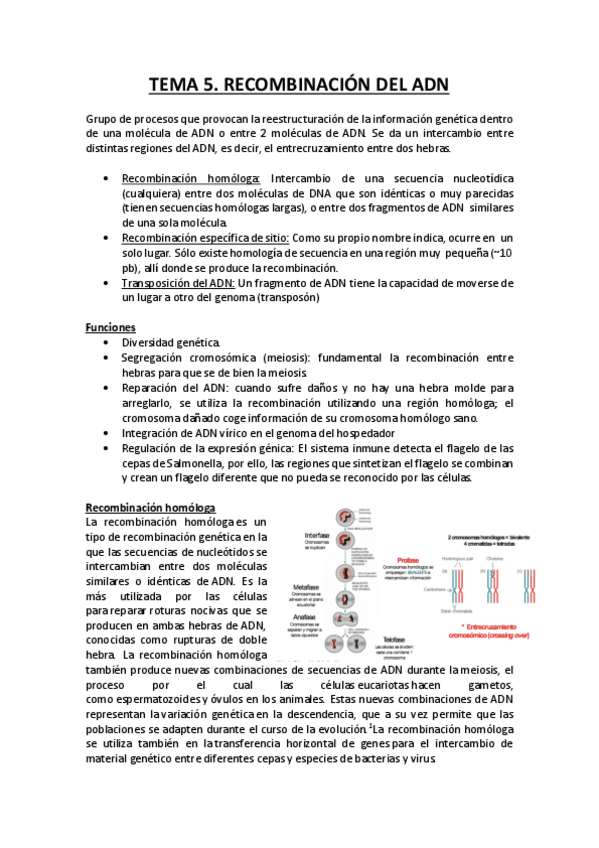 Miniatura del documento Recombinación del DNA.pdf