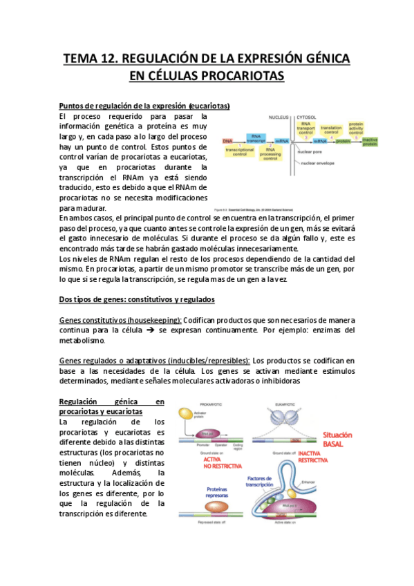 Miniatura del documento Regulación de la Expresión Génica en Procariotas.pdf