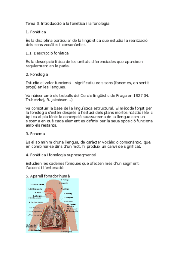 Miniatura del documento Tema-3.docx