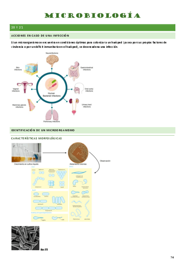 Miniatura del documento MICROBIOLOGIA.pdf