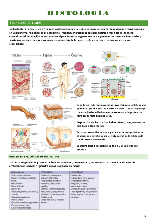 Miniatura del documento HISTOLOGIA.pdf