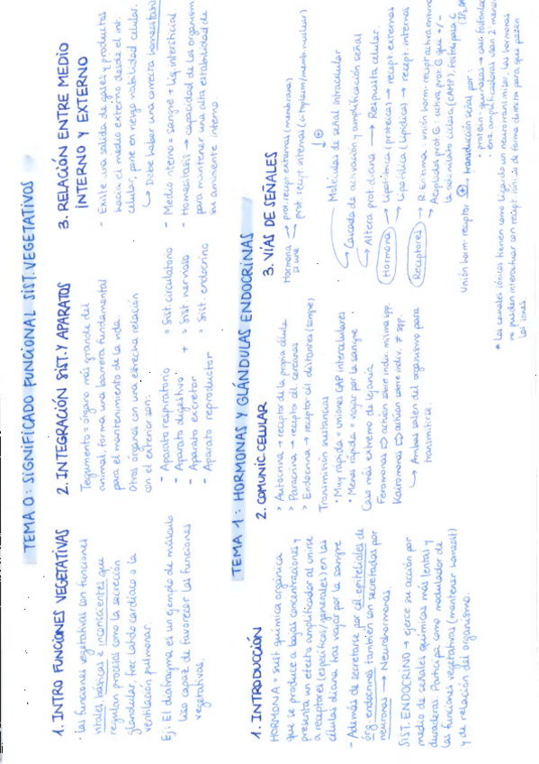 Miniatura del documento RESUMENES-DE-FISIO-ANIMAL-2.pdf