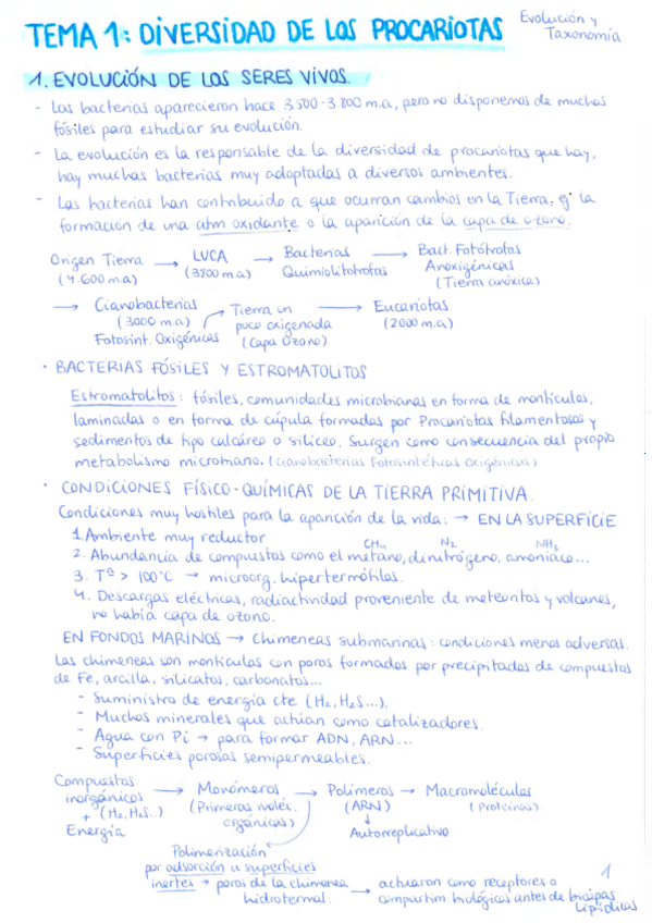 Miniatura del documento RESUMENES-DE-MICRO-2.pdf