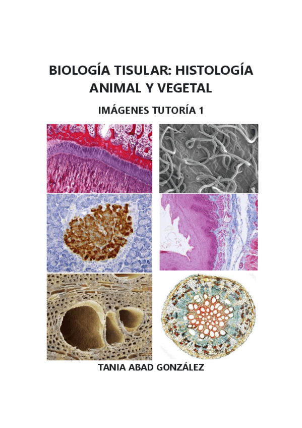 Miniatura del documento Imagenes-tutoria-completas.pdf