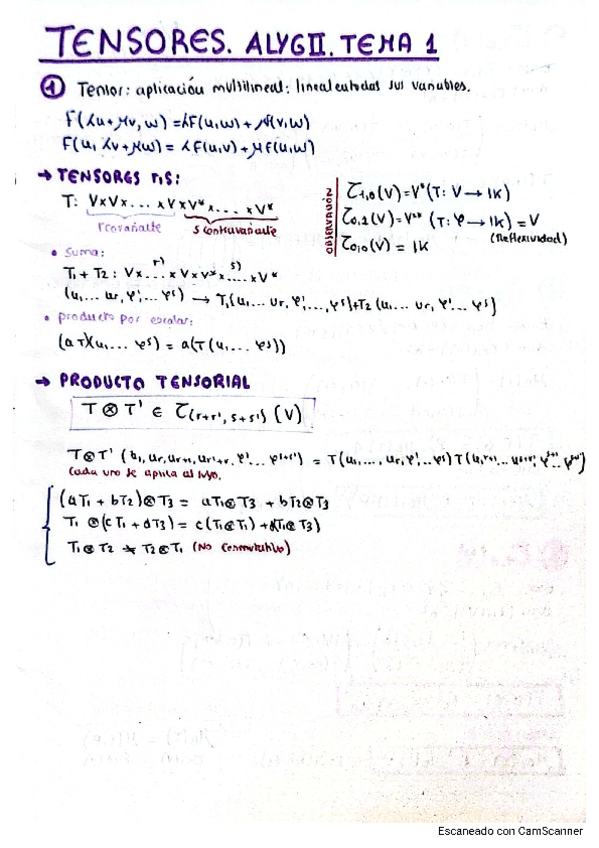 Miniatura del documento Tema-1-Resumenes-Esenciales-Aplicaciones-Multilineales-y-Tensores-ALGEBRA-LINEAL-II.pdf