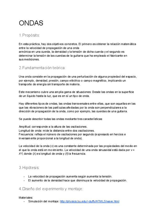 Miniatura del documento ONDAS-informe.pdf