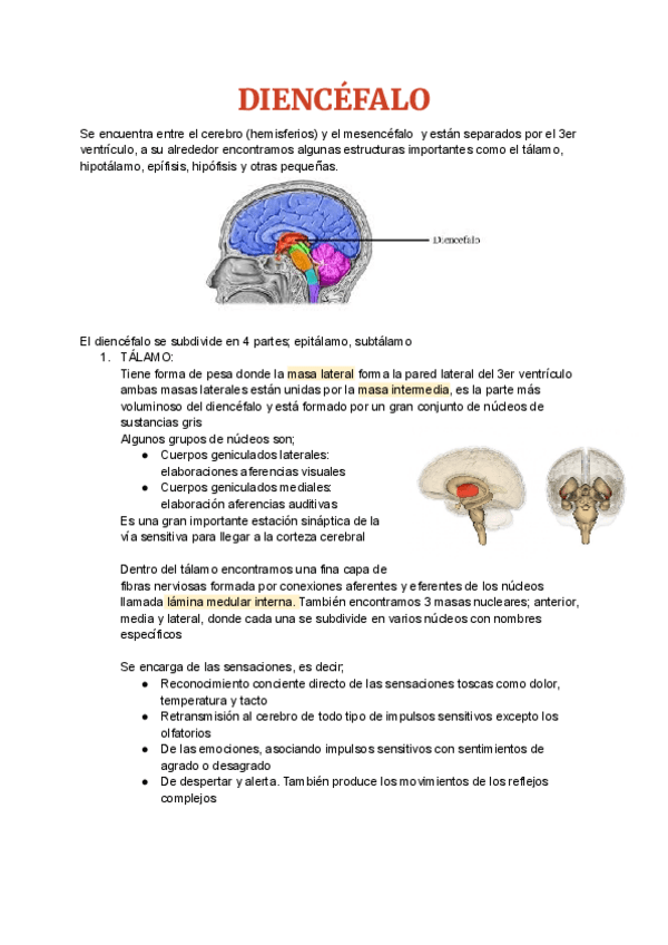 Miniatura del documento Anatomia-T7.pdf