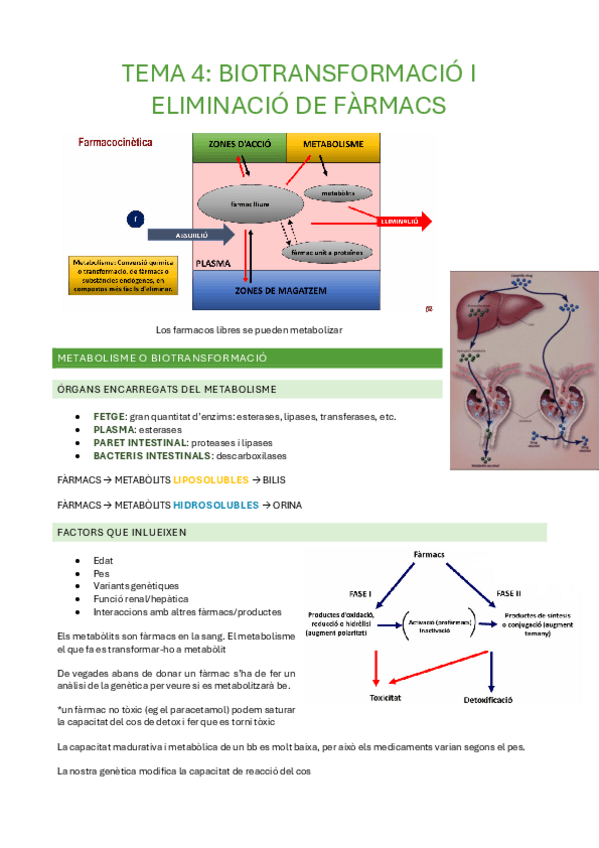 Miniatura del documento TEMA-4.pdf