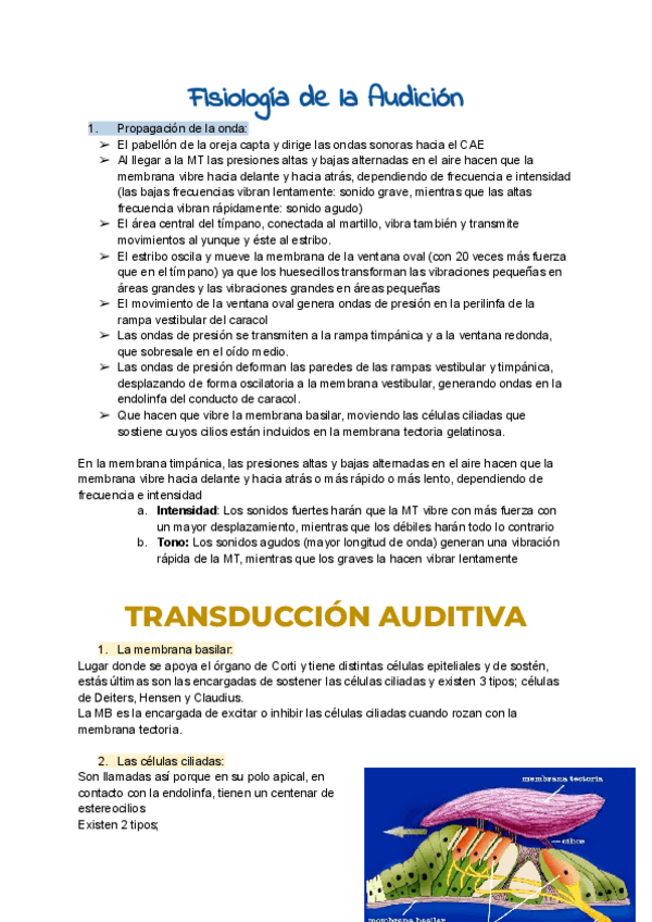 Miniatura del documento FISIOLOGIA-T8Y9.pdf