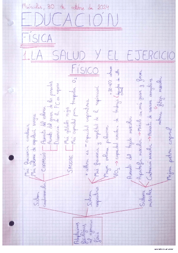 Miniatura del documento Educacion-Fisica-1Bach-Salud-y-ejercicio-fisico.pdf