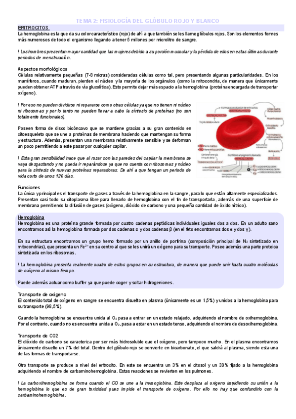 Miniatura del documento TEMA-2-FISIOLOGIA-DEL-GLOBULO-ROJO-Y-BLANCO.pdf