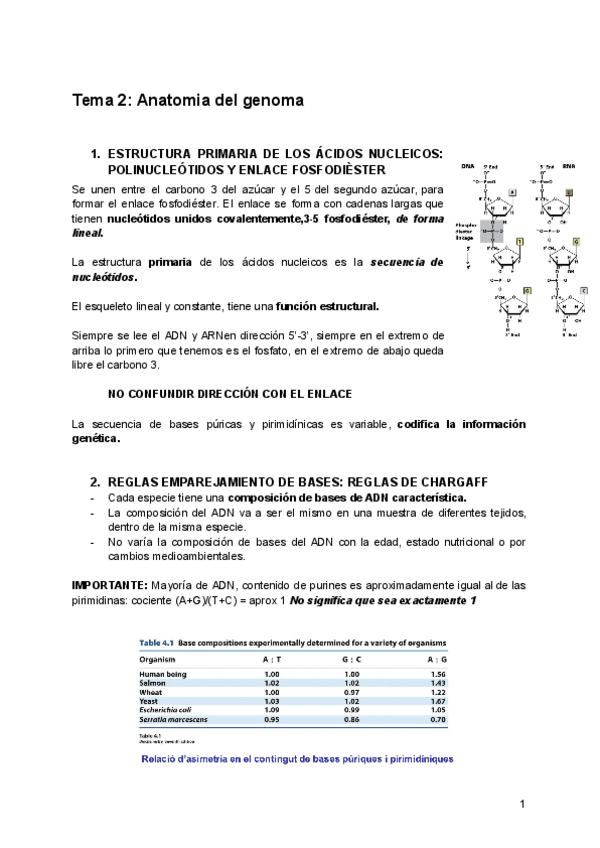 Miniatura del documento Tema-1-II-Anatomia-del-genoma.pdf