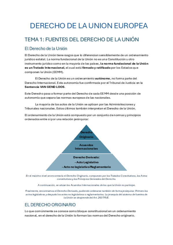 Miniatura del documento APUNTES-DERECHO-DE-LA-UNION-EUROPEA.pdf