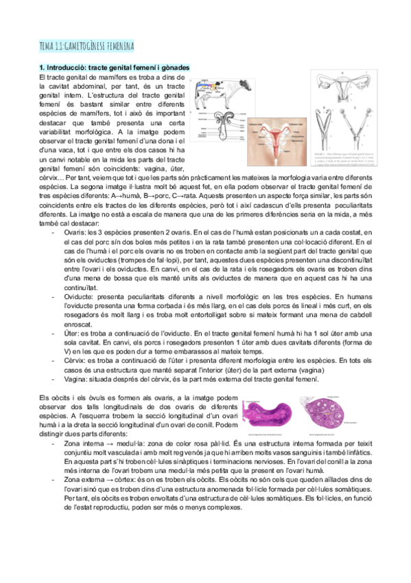 Miniatura del documento Tema-1.1-gametogenesi-femenina.pdf