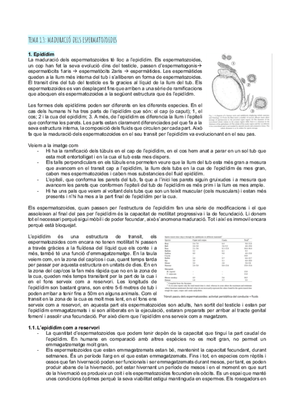 Miniatura del documento Tema-1.3maduracio-dels-espermatozoides.pdf