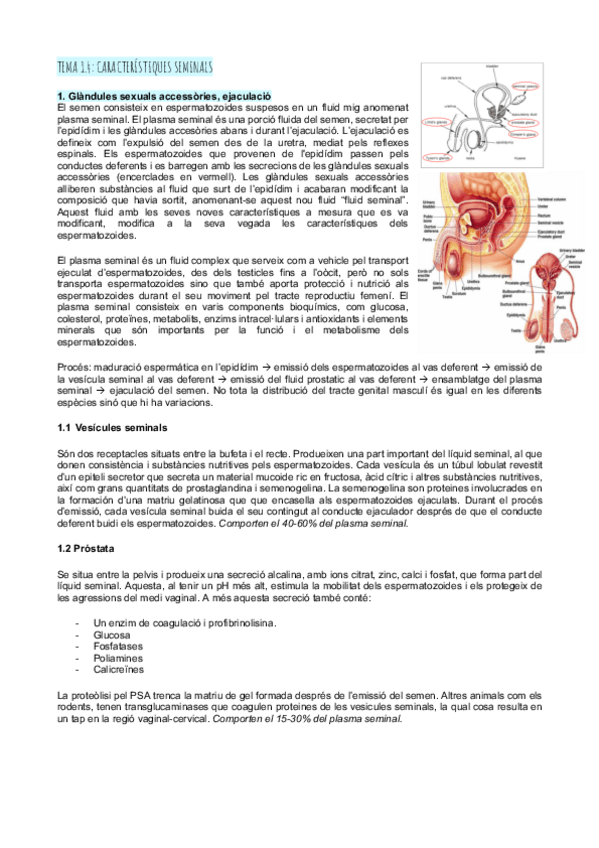 Miniatura del documento Tema-1.4-caracteristiques-seminals.pdf