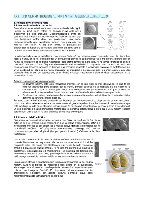 Miniatura del documento Tema-3desenvolupament-embrionari-pre-implantacional.pdf
