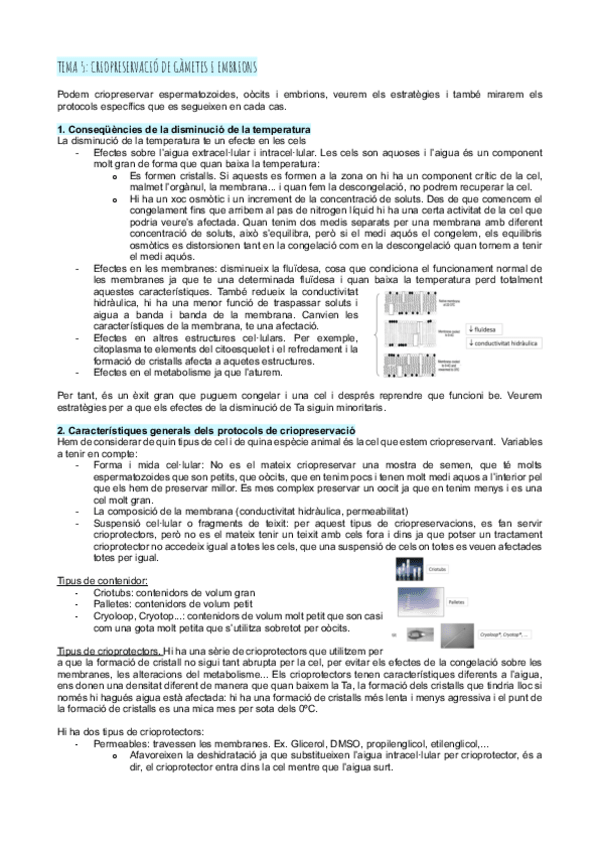 Miniatura del documento Tema-5criopreservacio.pdf