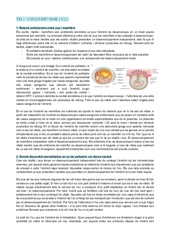 Miniatura del documento Tema-12-desenvolupament-primari-a-ocells.pdf
