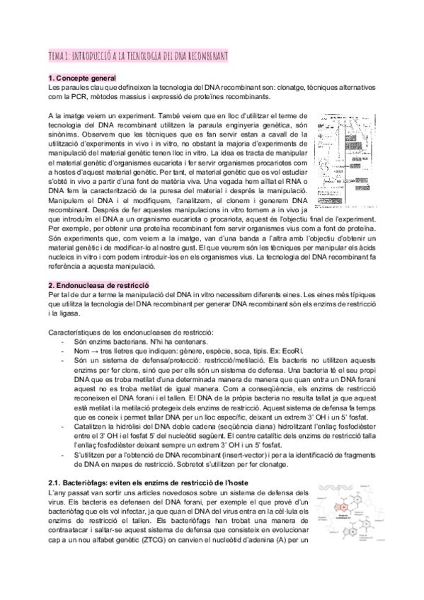 Miniatura del documento Tema-1-introduccio-a-la-tecnologia-del-DNA-recombinant.pdf